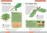 Welcher Baum ist das? Kindernaturführer - Blätter mit gelapptem Rand