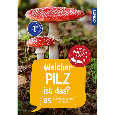 Welcher Pilz ist das? Kindernaturführer