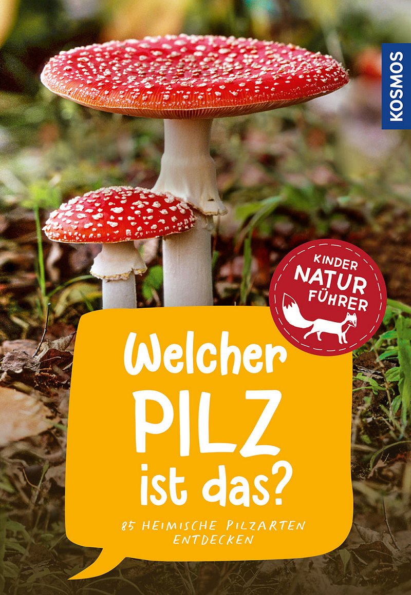 Welcher Pilz ist das - Oftring