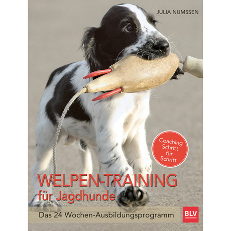 Welpen-Training für Jagdhunde - Das 24-Wochen Ausbildungsprogramm von Julia Numßen