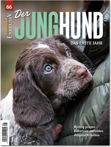 WILD UND HUND EXKLUSIV NR. 66: DER JUNGHUND - DAS ERSTE JAHR