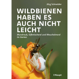 Wildbienen haben es auch nicht leicht
