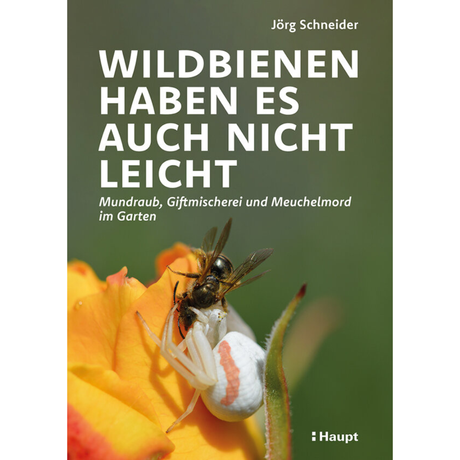 Wildbienen haben es auch nicht leicht