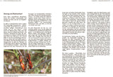 Wildbienen haben es auch nicht leicht - Innenansicht 3