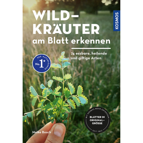 Wildkräuter am Blatt erkennen