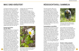 Wildkräuter am Blatt erkennen - Rücksichtsvoll sammeln