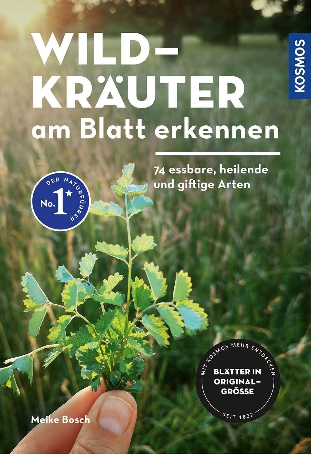 Wildkraeuter am Blatt erkennen Cover