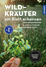 Wildkraeuter am Blatt erkennen Cover
