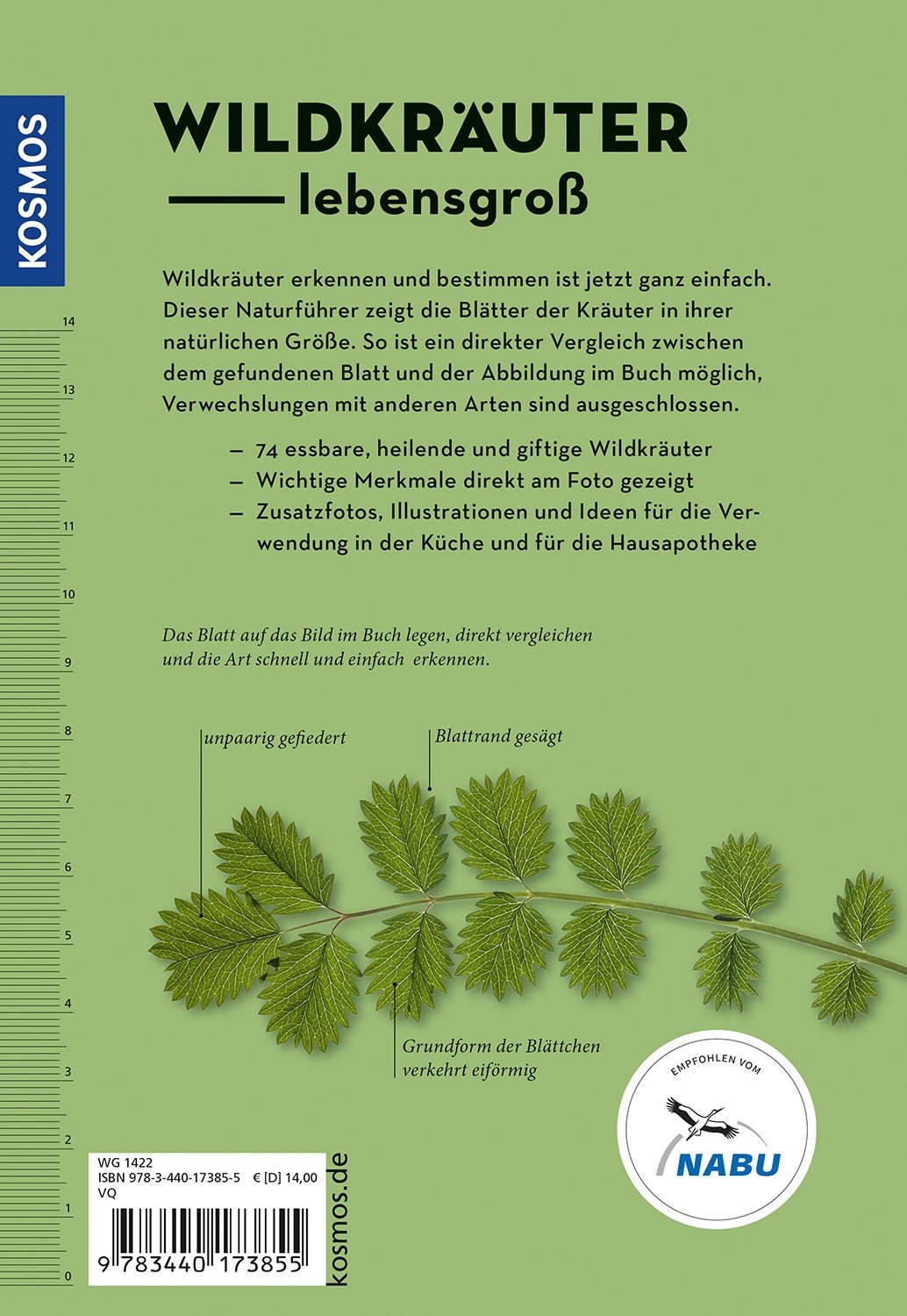 Wildkraeuter am Blatt erkennen RS Cover