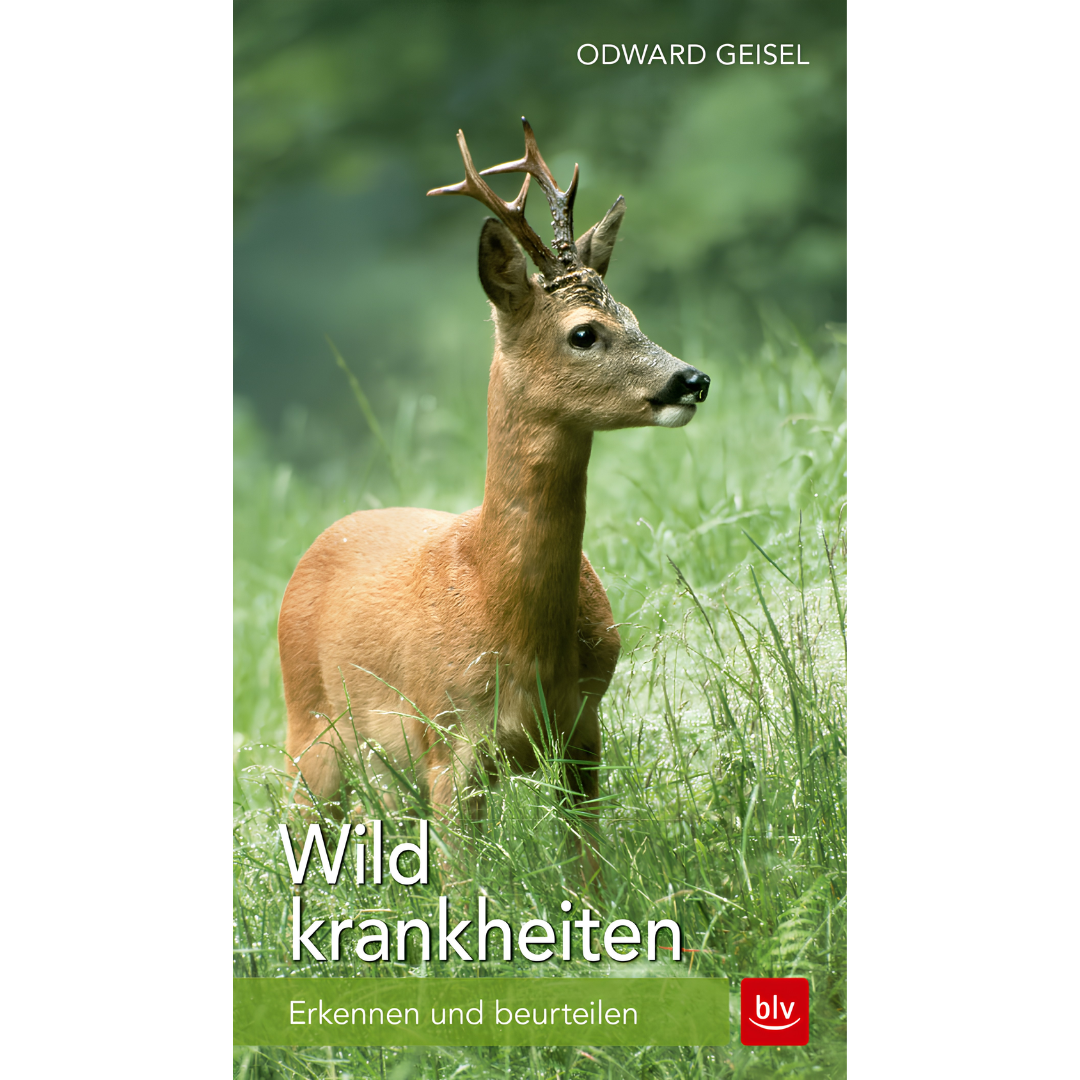 Wildkrankheiten - Erkennen und beurteilen von Odward Geisel