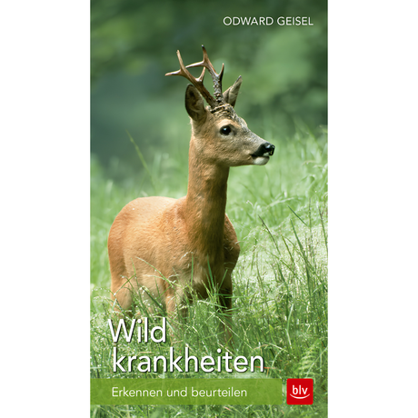 Wildkrankheiten - Erkennen und beurteilen von Odward Geisel