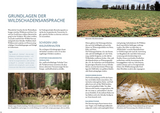 Wildschäden - Grundlagen der Wildschadensansprache