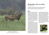 Rehe beobachten in der Natur