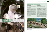 Wildtiere im Fokus - Der Gänsegeiger