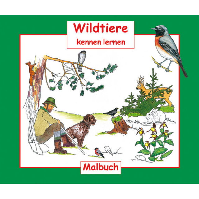 Wildtiere kennen lernen - Malbuch