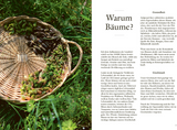Wundervolle Waldküche - Innenansicht 1