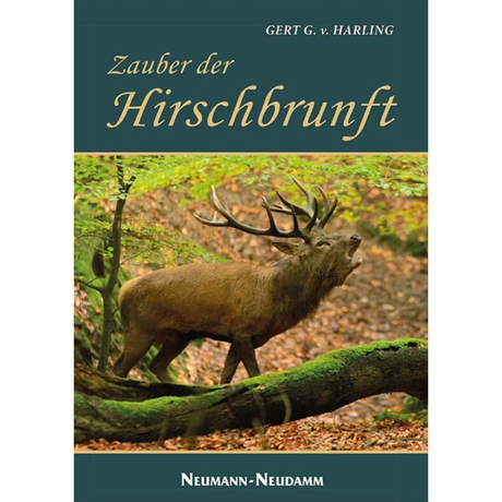 Zauber der Hirschbrunft