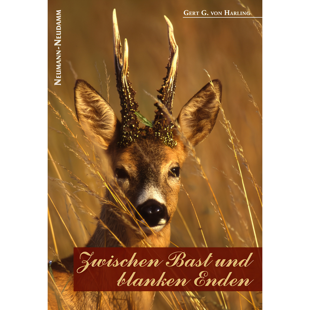 Zwischen Bast und blanken Enden