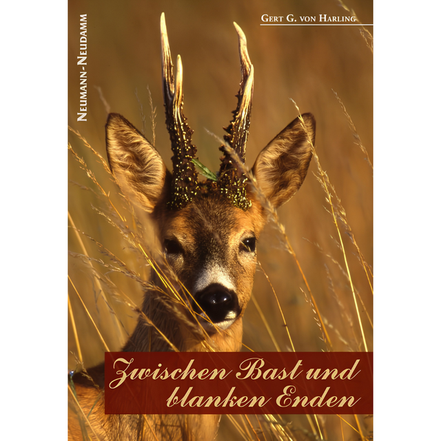 Zwischen Bast und blanken Enden